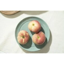 Staub Teller Flach 15 Cm, Keramik, Salbeigrün 12 Staub Teller Flach 15 Cm, Keramik, Salbeigrün -Staub 750044309